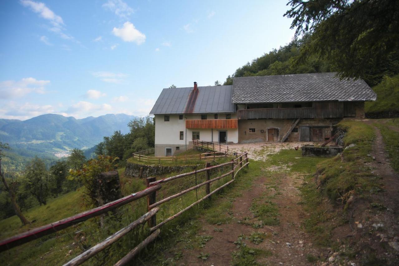 Apartma Gorski Razgled Srednja Vas v Bohinju Exterior photo