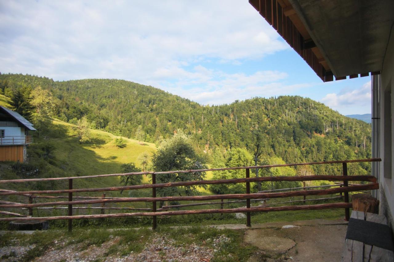 Apartma Gorski Razgled Srednja Vas v Bohinju Exterior photo
